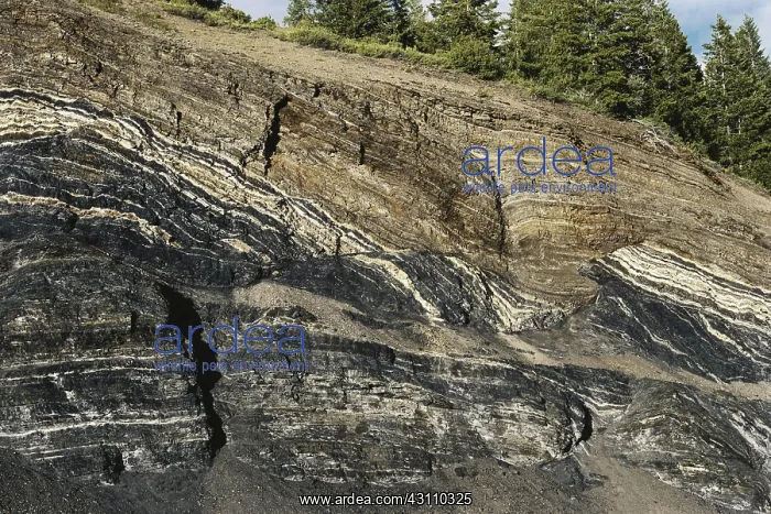 : Faults in Coal Seam : Faults in Coal Seam