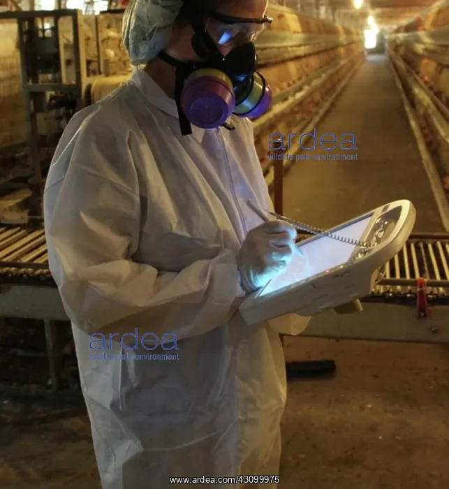  : FDA Field Investigator Using Egg Pad