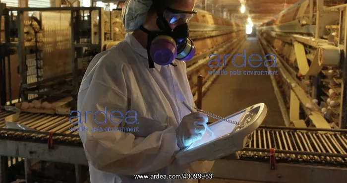 : FDA Field Investigator Using Egg Pad : FDA Field Investigator Using Egg Pad