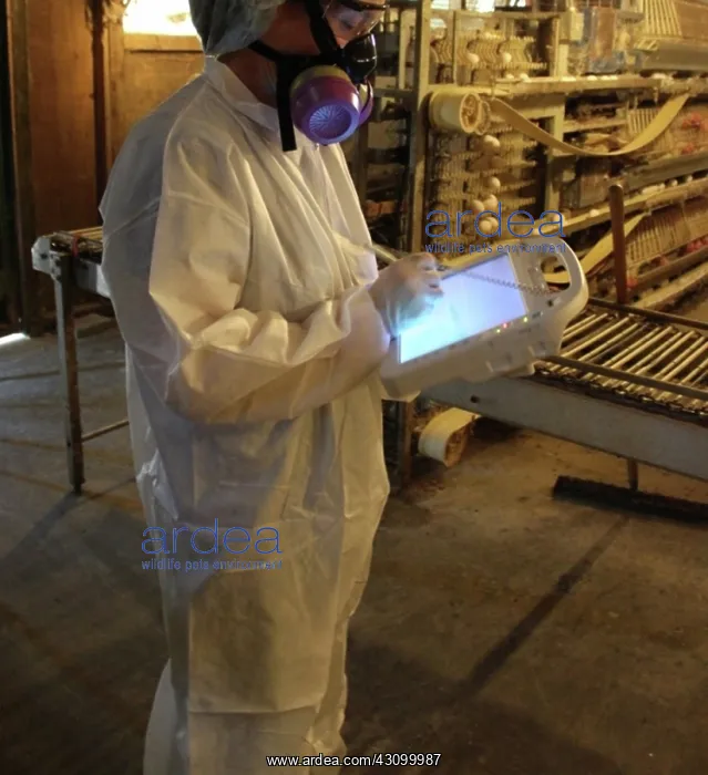 : FDA Field Investigator Using Egg Pad : FDA Field Investigator Using Egg Pad
