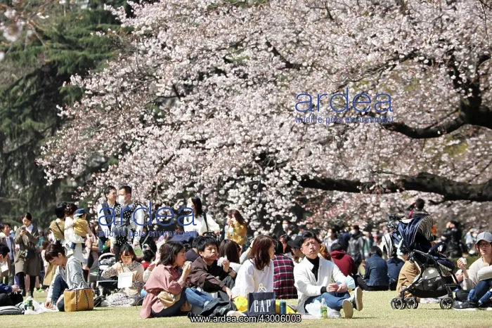 : Fear of the Coronavirus didnt stop the Japanese : Fear of the Coronavirus didnt stop the Japanese
