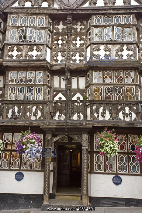 : The Feathers Hotel : The Feathers Hotel