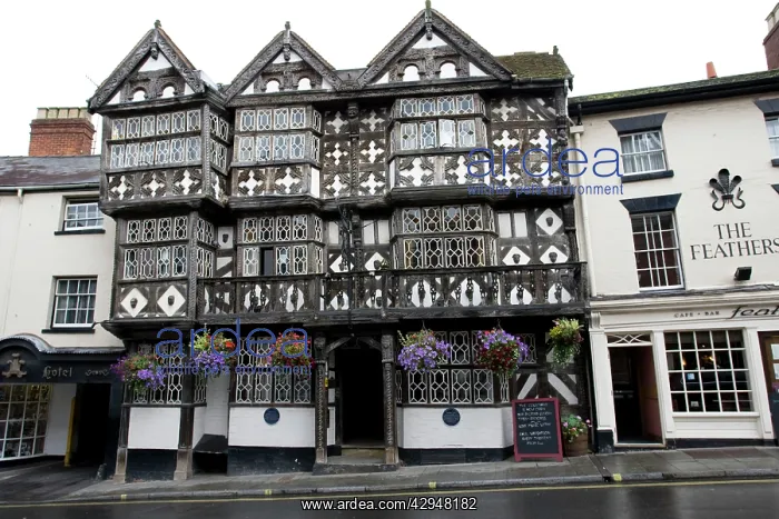 : Feathers Hotel originating from 1619 Ludlow Shropshire UK : Feathers Hotel originating from 1619 Ludlow Shropshire UK
