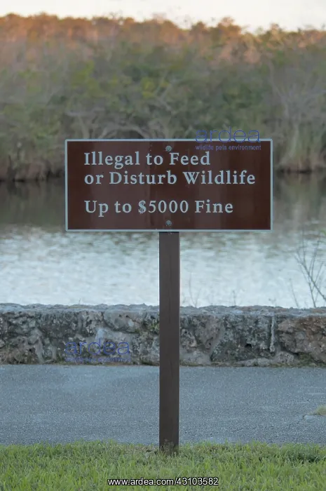 : No Feeding Wildlife Sign, Everglades, Florida : No Feeding Wildlife Sign, Everglades, Florida