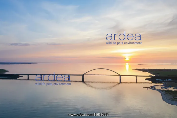 : Fehmarn Sound Bridge aerial 08 : Fehmarn Sound Bridge aerial 08