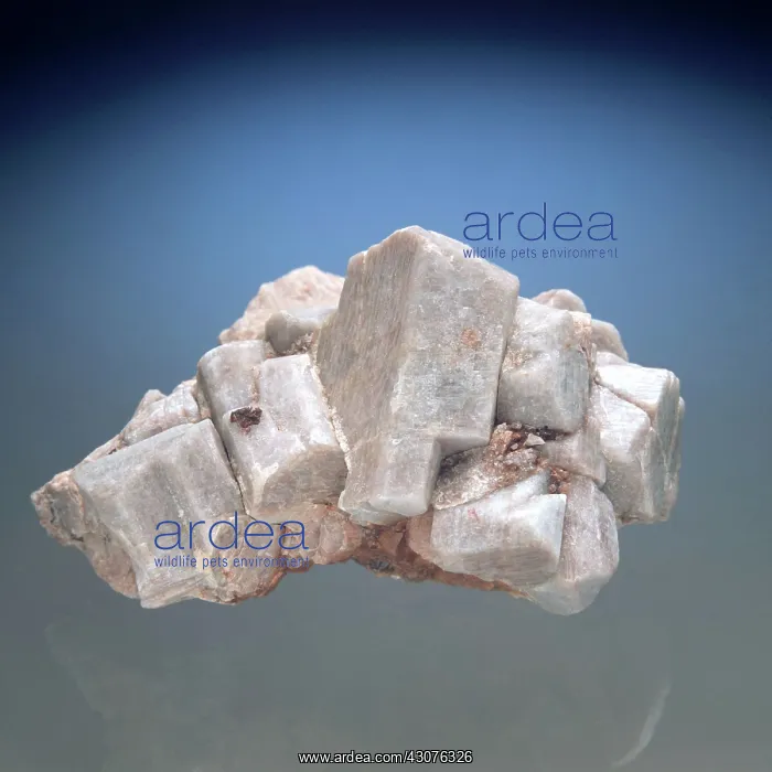 : Feldspar Crystals : Feldspar Crystals