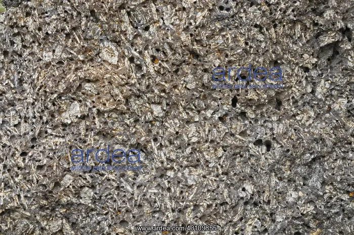 : Feldspar crystals : Feldspar crystals