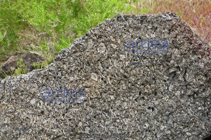 : Feldspar crystals : Feldspar crystals