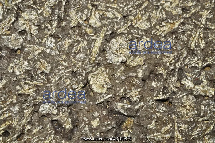 : Feldspar crystals : Feldspar crystals