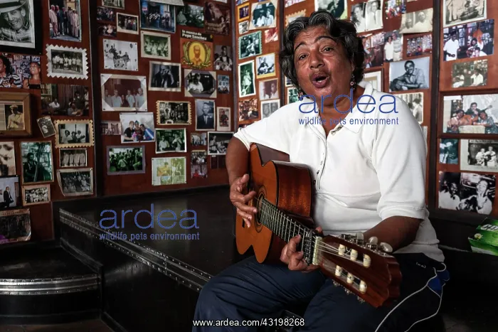 : Female Cuban musician playing the guitar in a Casa : Female Cuban musician playing the guitar in a Casa