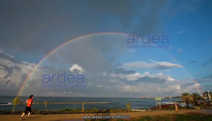 : Female jogger runs past 180 degree rainbow after : Female jogger runs past 180 degree rainbow after