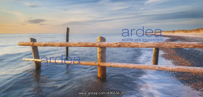 : Fence on the beach of the Baltic Sea as the border of the : Fence on the beach of the Baltic Sea as the border of the