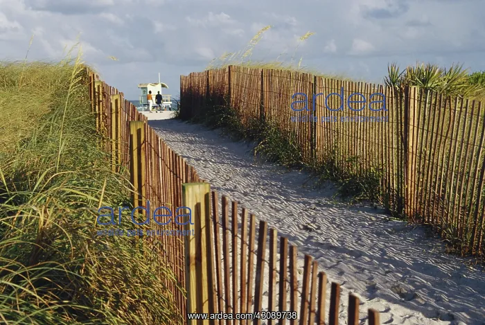 : Fence to Protect Dunes : Fence to Protect Dunes
