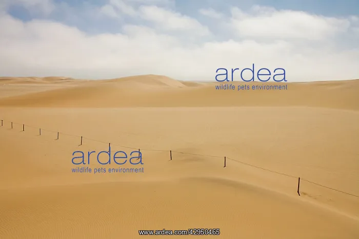 : Fenced off area marking the beginning of the breeding : Fenced off area marking the beginning of the breeding