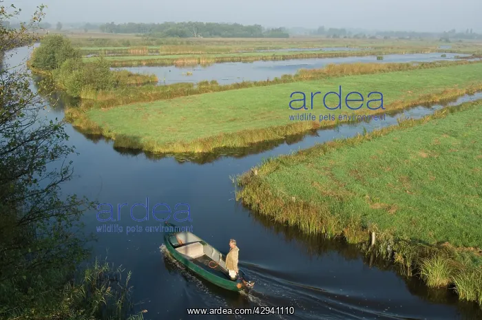 : Fenland - Remains of the era of peat digging, leeves : Fenland - Remains of the era of peat digging, leeves