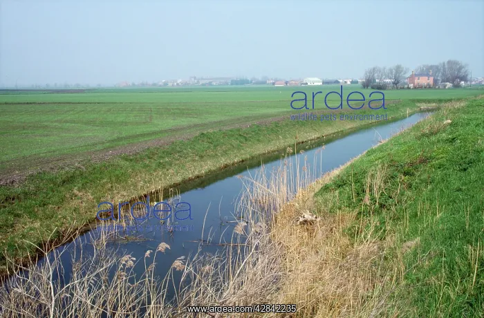 : Fens - drain, farmland : Fens - drain, farmland