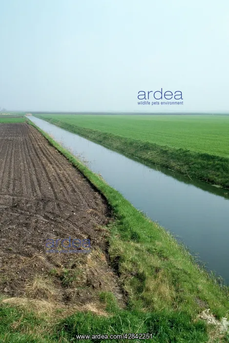 : Fens - drain, farmland : Fens - drain, farmland