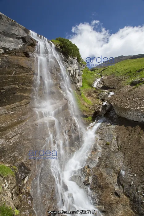 : Fensterbach waterfall - Hohe Tauern National Park : Fensterbach waterfall - Hohe Tauern National Park