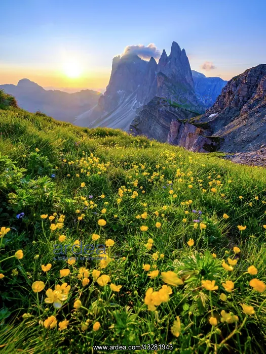  : Fermeda Towers, Odle Mountains, Seceda, Puez-Odle