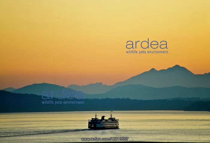: Ferry leaves Seattle's waterfront to an : Ferry leaves Seattle's waterfront to an