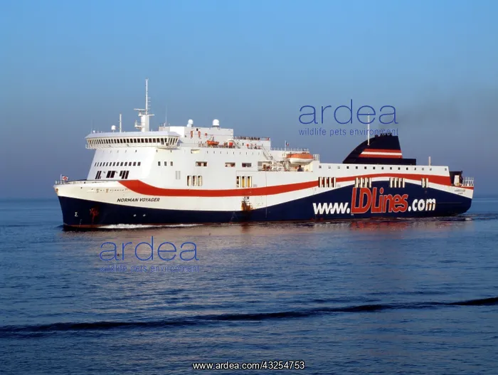 : Ferry, Norman Voyager, Portsmouth to Le : Ferry, Norman Voyager, Portsmouth to Le