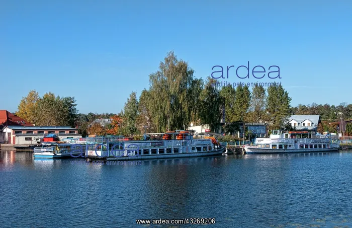 : Ferry rides ships in village of Augustow : Ferry rides ships in village of Augustow