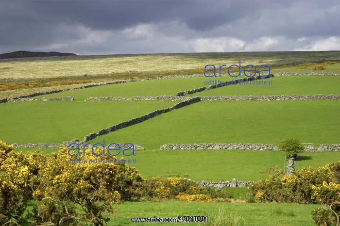  : Fertile valley farmland with moors above