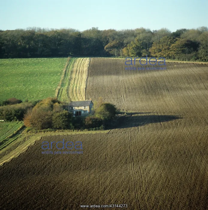: Field in November : Field in November