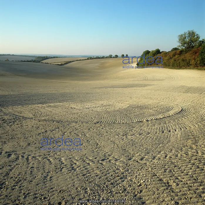  : Field in October