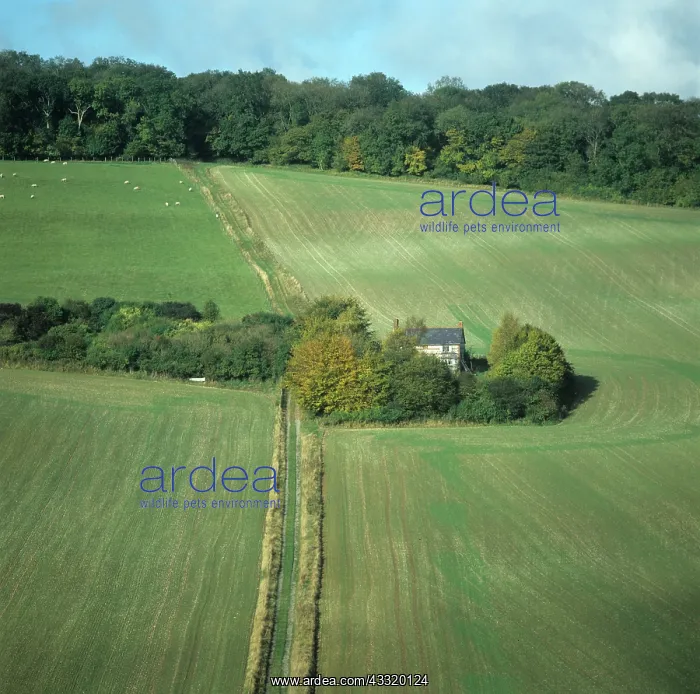 : Field in October : Field in October