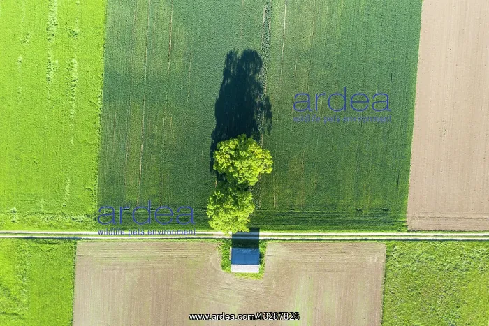 : Field path through cultural landscape from above : Field path through cultural landscape from above