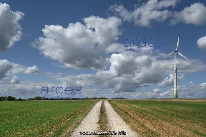 : Field path and wind turbine in Franconian landscape : Field path and wind turbine in Franconian landscape