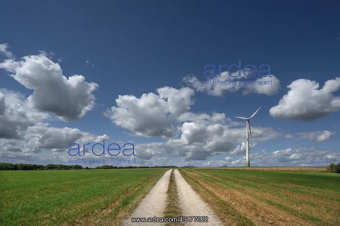 : Field path and wind turbine in Franconian landscape : Field path and wind turbine in Franconian landscape