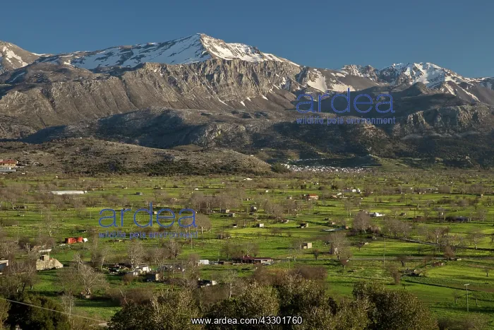 : Field and settlement pattern - with flooded areas : Field and settlement pattern - with flooded areas