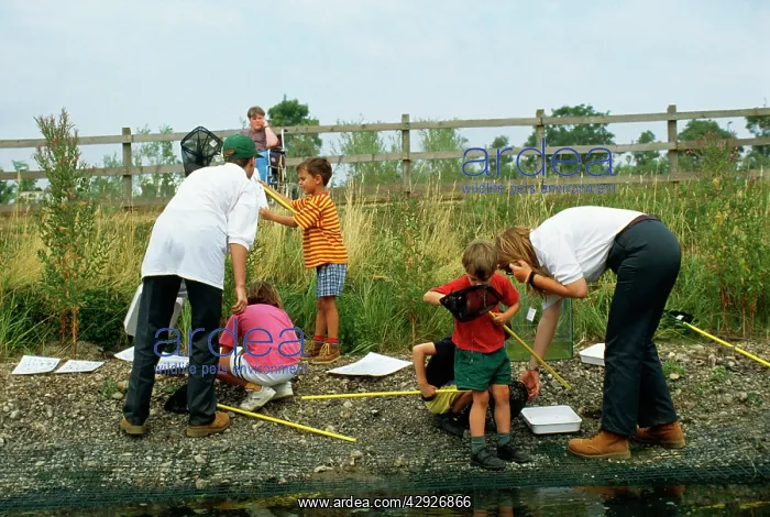  : FIELD STUDY - Children Pond Dipping