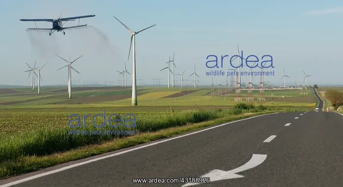 : Field of wind turbines in intensive cereal crops : Field of wind turbines in intensive cereal crops