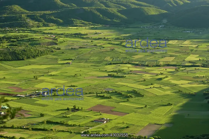 : Fields in evening light Valle di Frascaro, near : Fields in evening light Valle di Frascaro, near