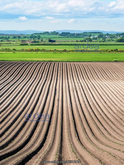 : Fields and Farmlands, English Village, England : Fields and Farmlands, English Village, England