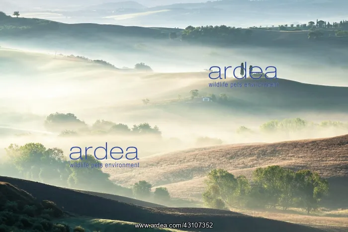 : Fields and hilly landscape in morning mood, Val : Fields and hilly landscape in morning mood, Val