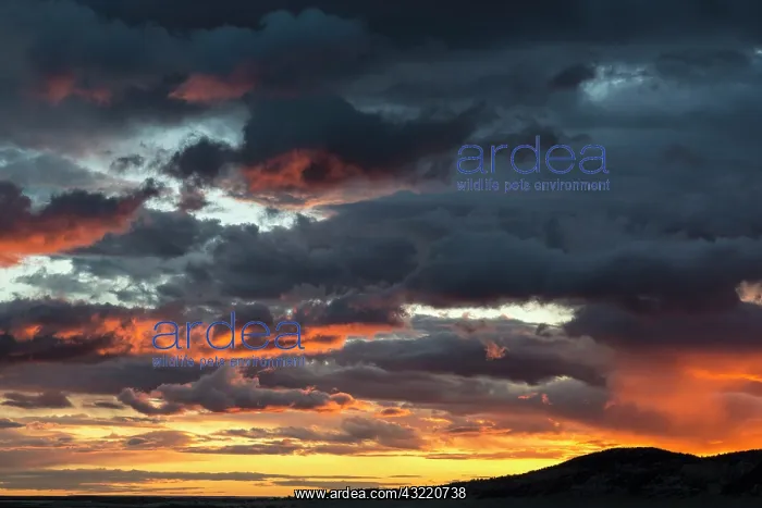 : Fiery sunrise light over Pine Butte along : Fiery sunrise light over Pine Butte along