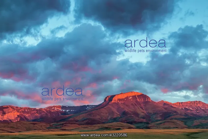 : Fiery sunrise light strikes Ear Mountain : Fiery sunrise light strikes Ear Mountain