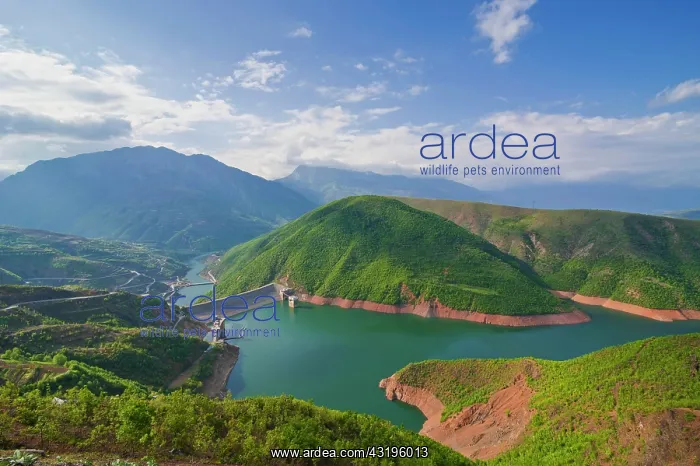: Fierza Reservoir, Albania, Europe Fierze dam, Albania, Balka : Fierza Reservoir, Albania, Europe Fierze dam, Albania, Balka