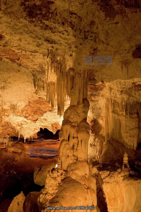 : Fig Tree Cave - calcite formations in Fig Tree cave : Fig Tree Cave - calcite formations in Fig Tree cave