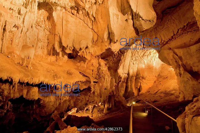 : Fig Tree Cave - a path leads through calcite formations : Fig Tree Cave - a path leads through calcite formations