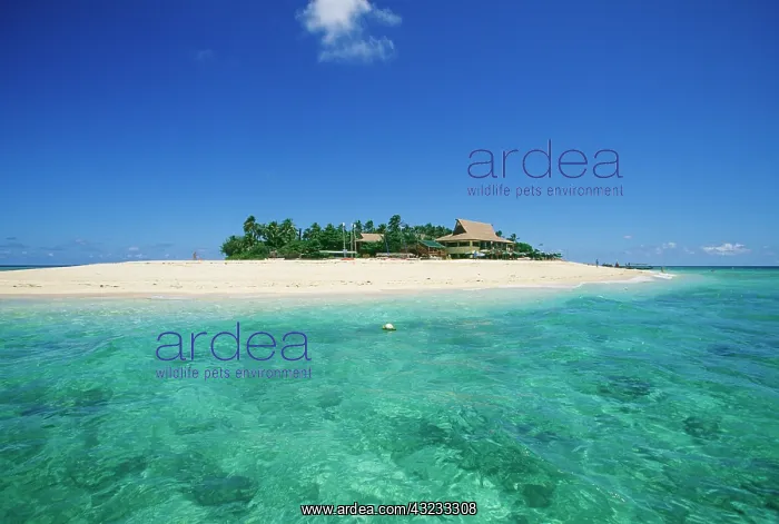 : FIJI, Beachcomber Island : FIJI, Beachcomber Island