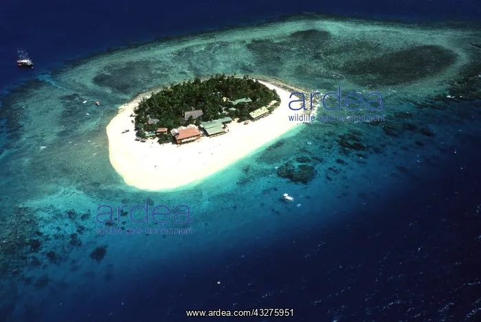 : FIJI, Beachcomber Island, holiday lodging : FIJI, Beachcomber Island, holiday lodging