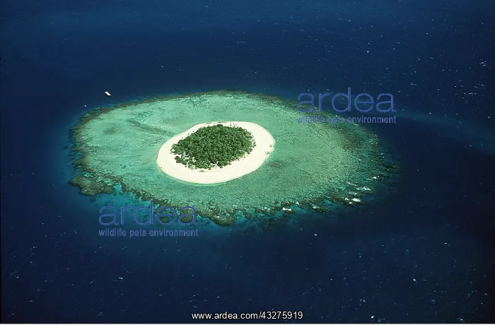 : FIJI - Malamalu Island, Mamanuca group : FIJI - Malamalu Island, Mamanuca group