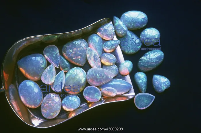  : Opals. Fine, white opals