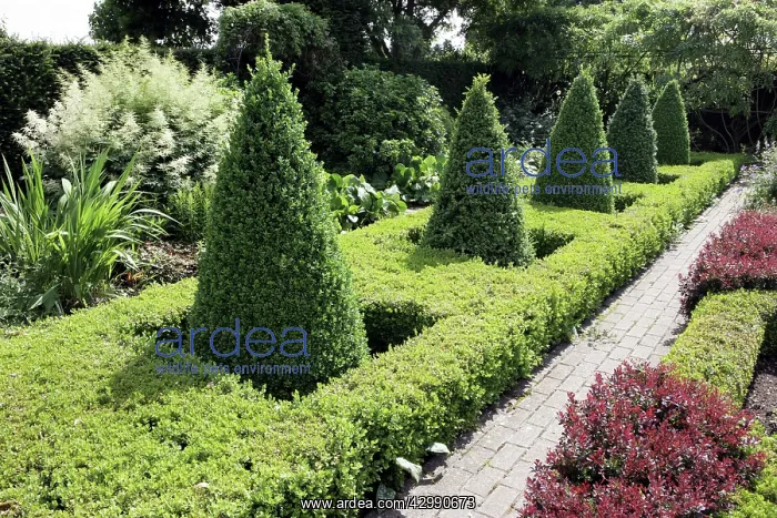 : Some of the finest herbaceous borders in the country at Wate : Some of the finest herbaceous borders in the country at Wate