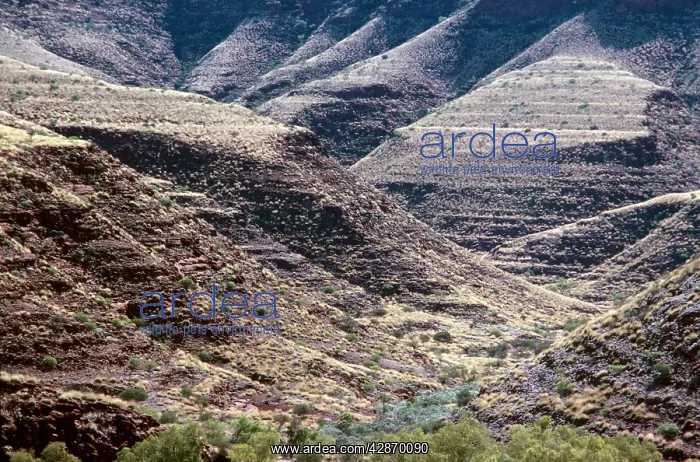 : Finke Gorge : Finke Gorge